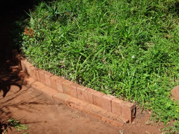 Masses of brick paving was on site and we are re purposing it as flower bed edging.